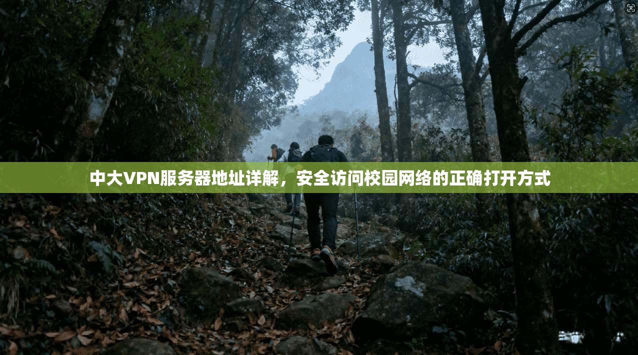 中大VPN服务器地址详解，安全访问校园网络的正确打开方式