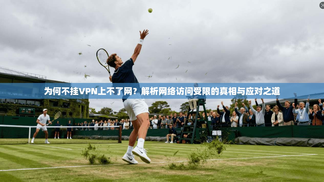 为何不挂VPN上不了网?解析网络访问受限的真相与应对之道
