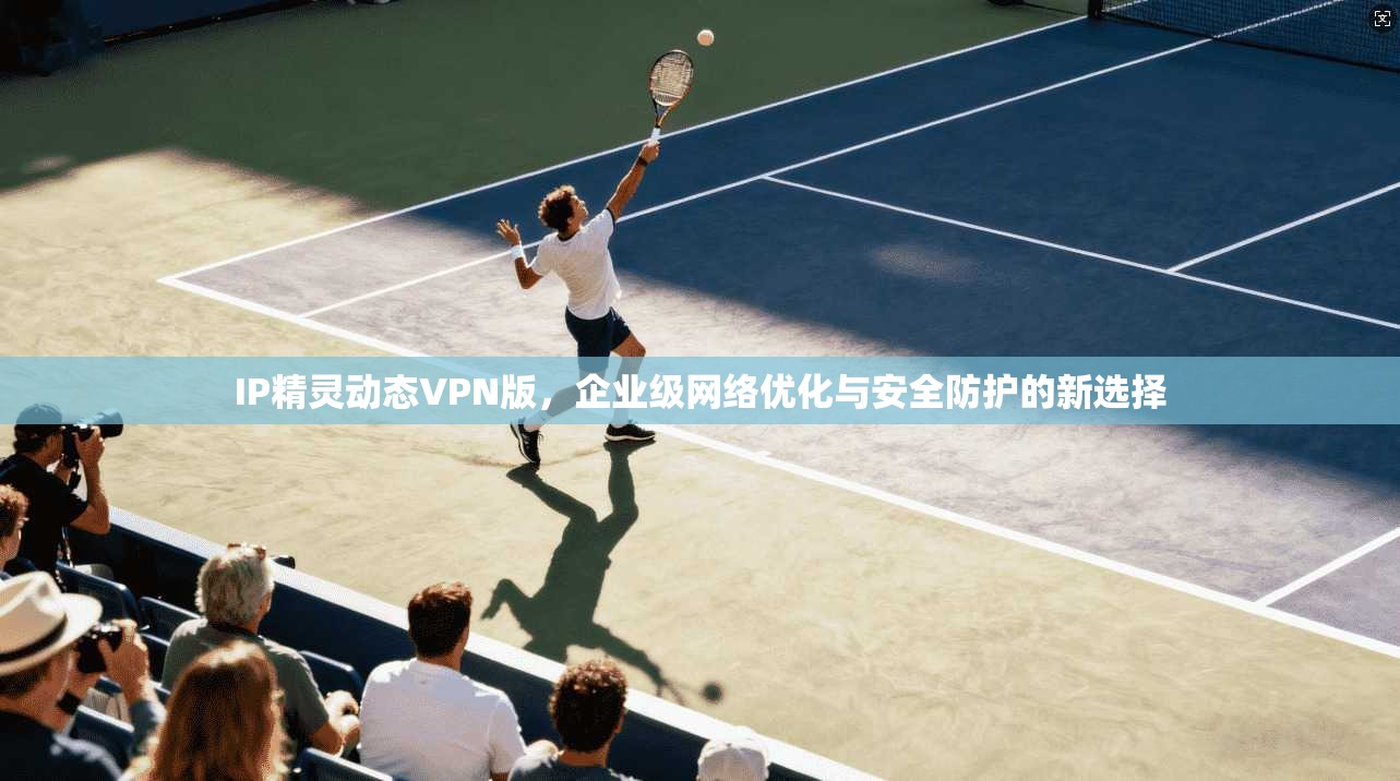IP精灵动态VPN版,企业级网络优化与安全防护的新选择