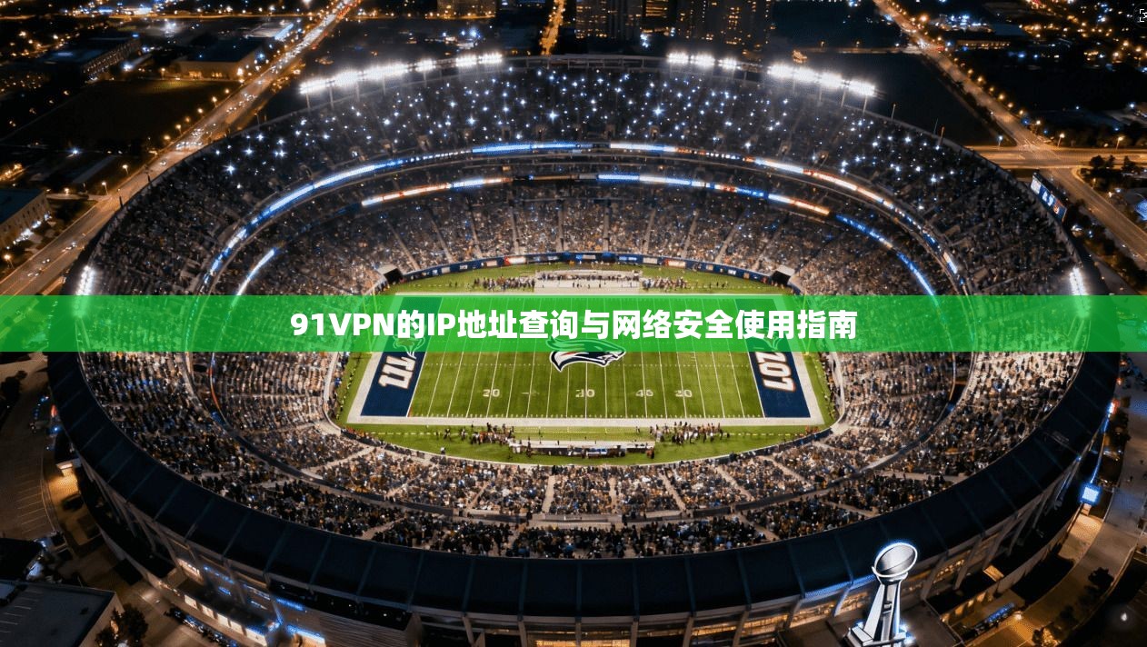 91VPN的IP地址查询与网络安全使用指南