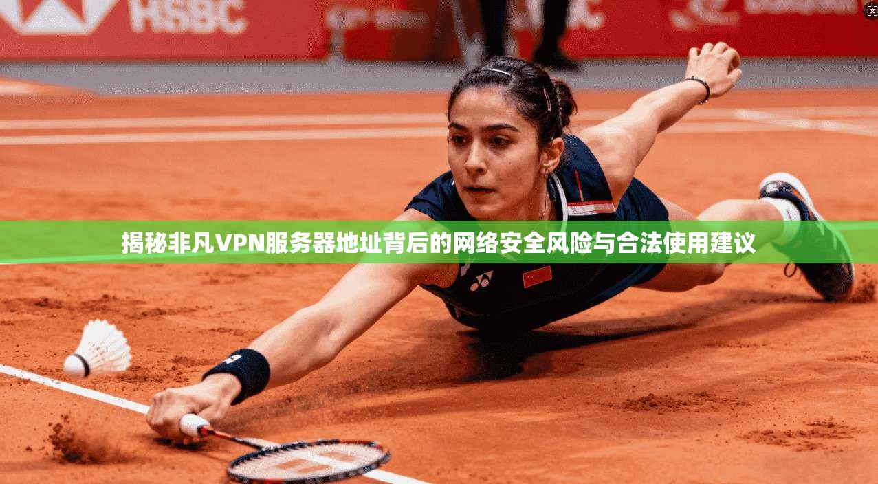 揭秘非凡VPN服务器地址背后的网络安全风险与合法使用建议