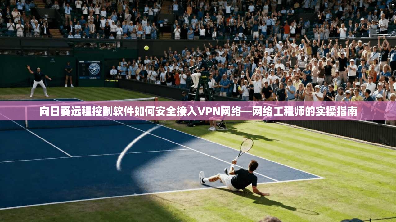 向日葵远程控制软件如何安全接入VPN网络—网络工程师的实操指南