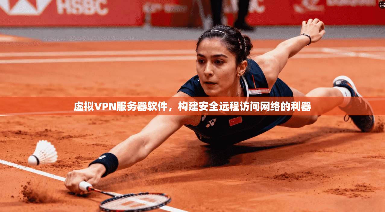 虚拟VPN服务器软件,构建安全远程访问网络的利器