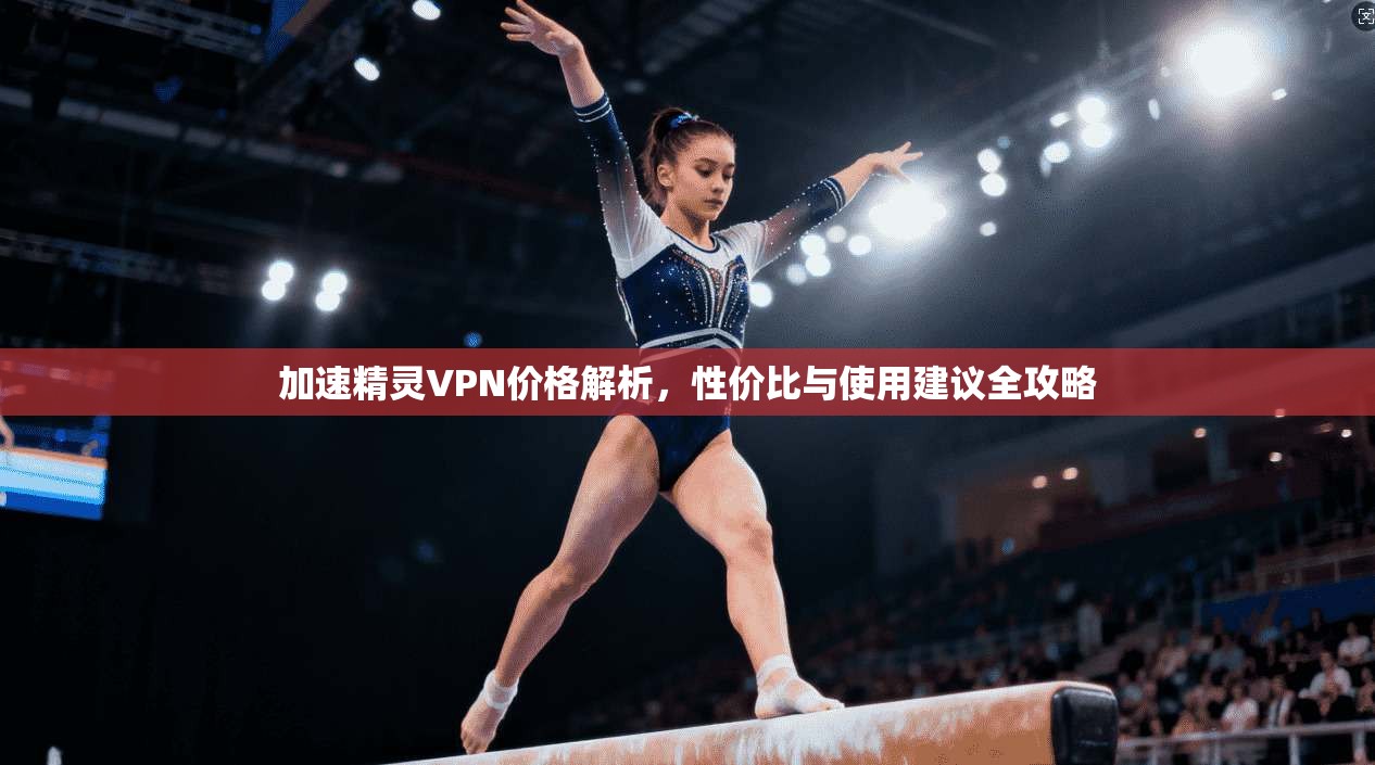加速精灵VPN价格解析,性价比与使用建议全攻略