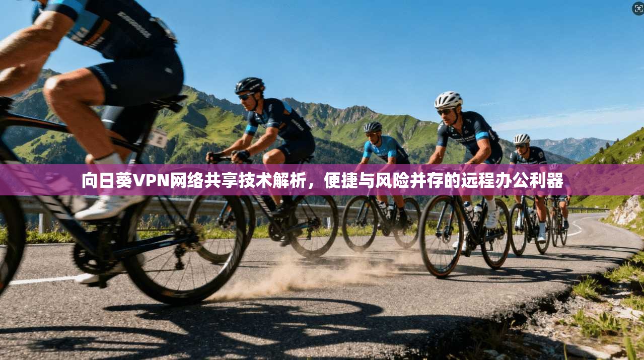 向日葵VPN网络共享技术解析，便捷与风险并存的远程办公利器
