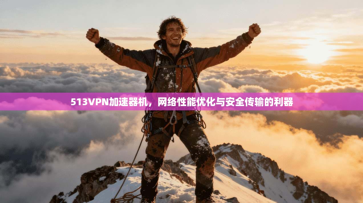 513VPN加速器机，网络性能优化与安全传输的利器