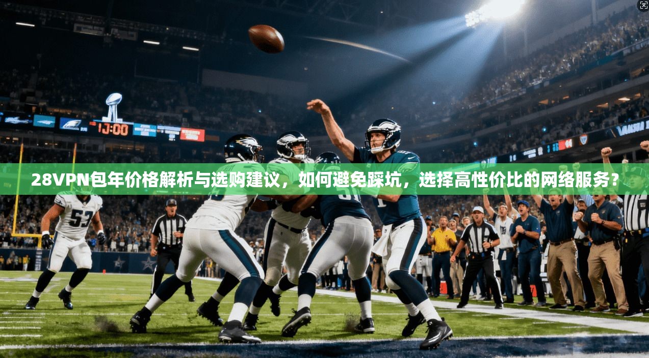 28VPN包年价格解析与选购建议,如何避免踩坑,选择高性价比的网络服务?