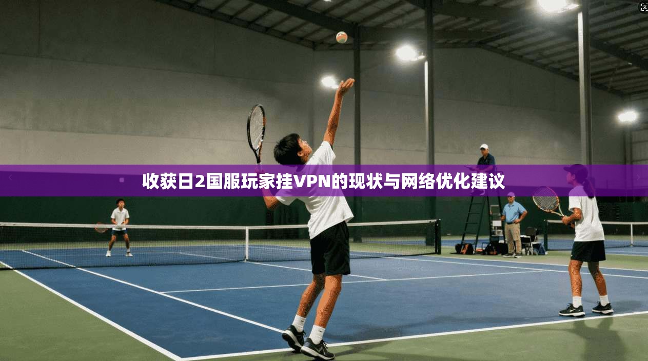 收获日2国服玩家挂VPN的现状与网络优化建议