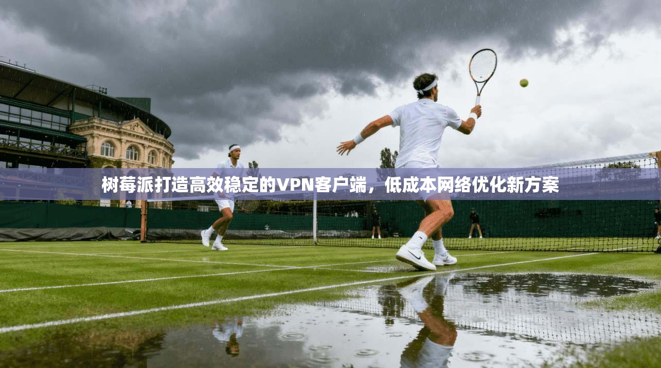 树莓派打造高效稳定的VPN客户端,低成本网络优化新方案