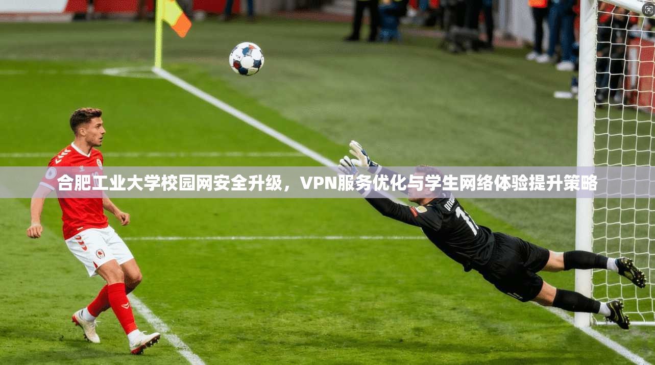合肥工业大学校园网安全升级，VPN服务优化与学生网络体验提升策略