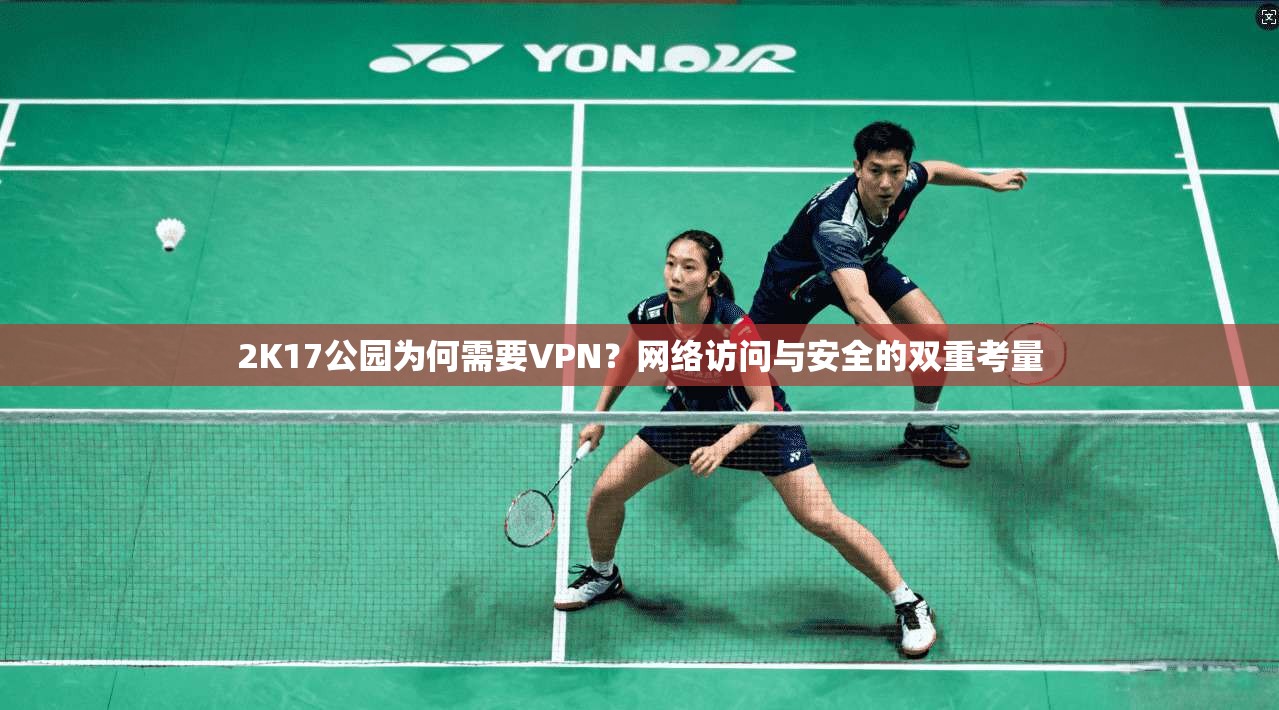 2K17公园为何需要VPN？网络访问与安全的双重考量