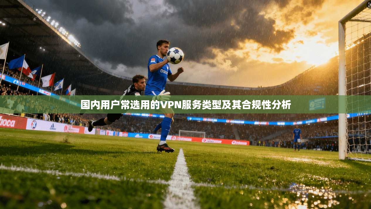 国内用户常选用的VPN服务类型及其合规性分析