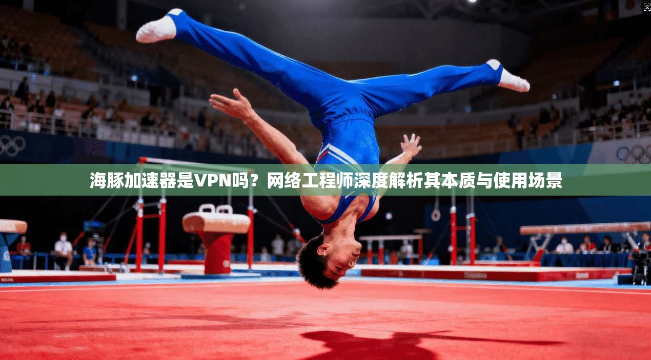 海豚加速器是VPN吗?网络工程师深度解析其本质与使用场景