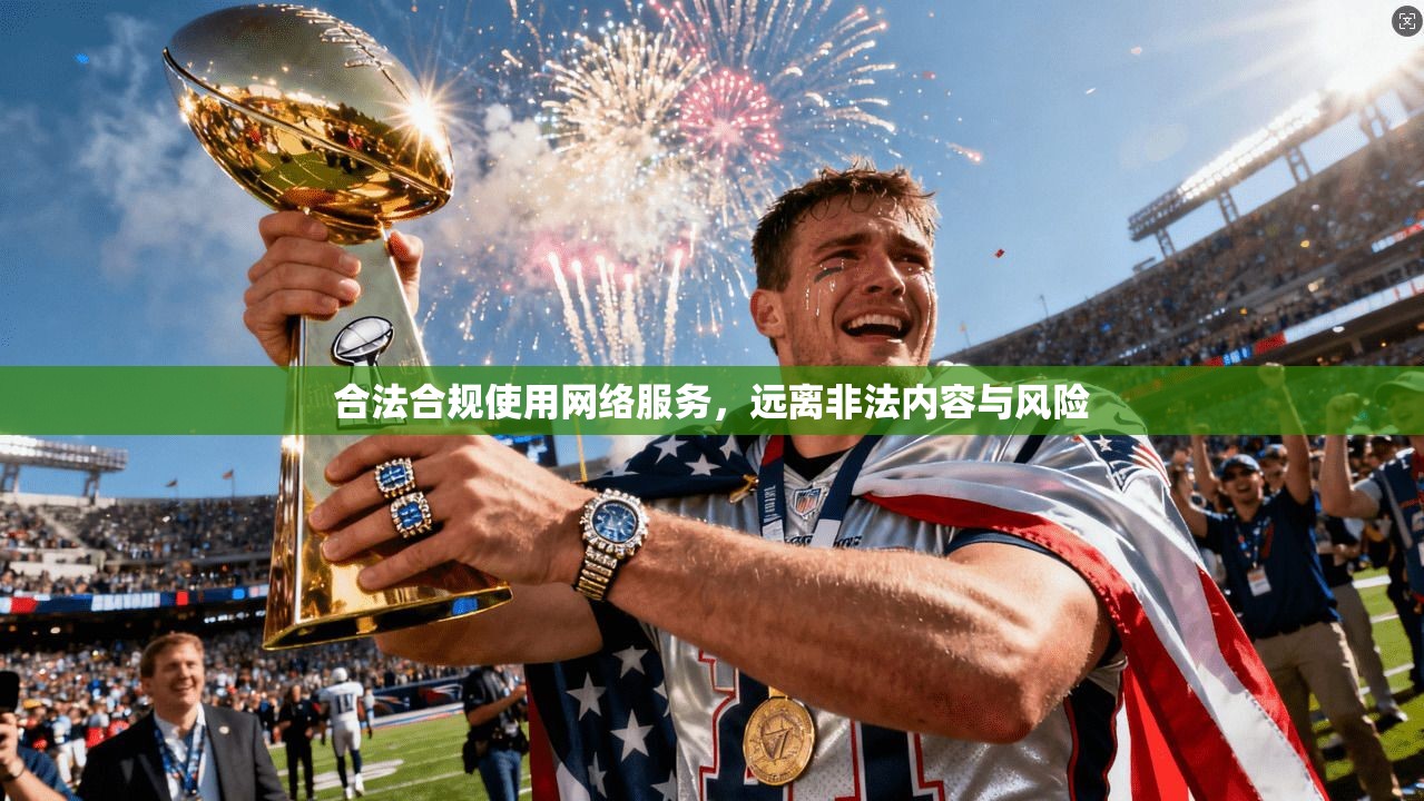 合法合规使用网络服务,远离非法内容与风险