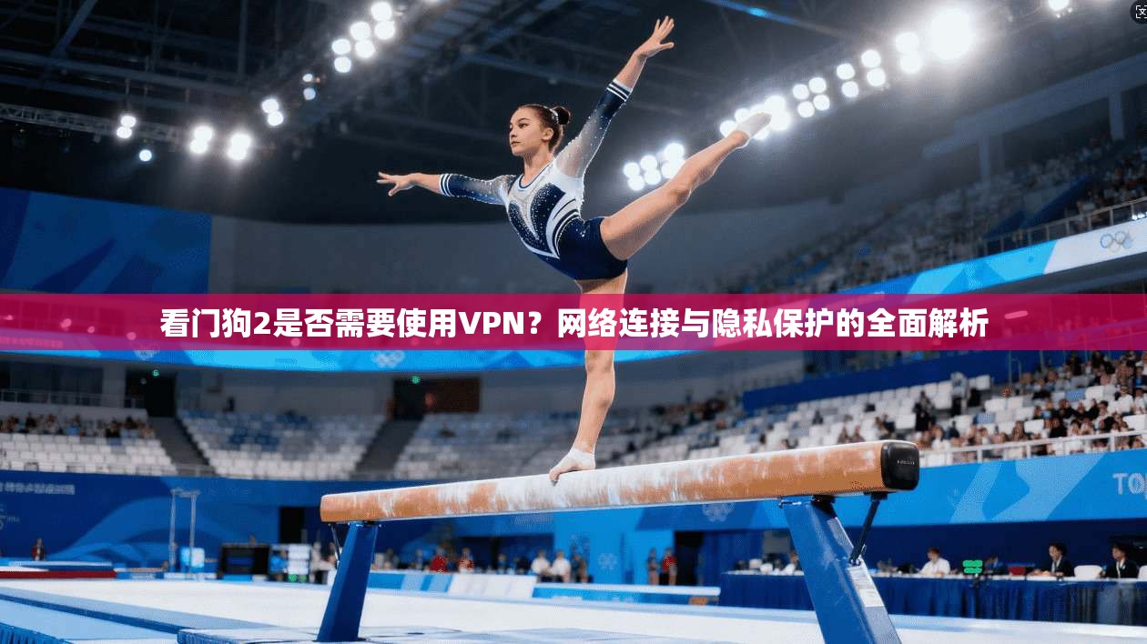 看门狗2是否需要使用VPN？网络连接与隐私保护的全面解析