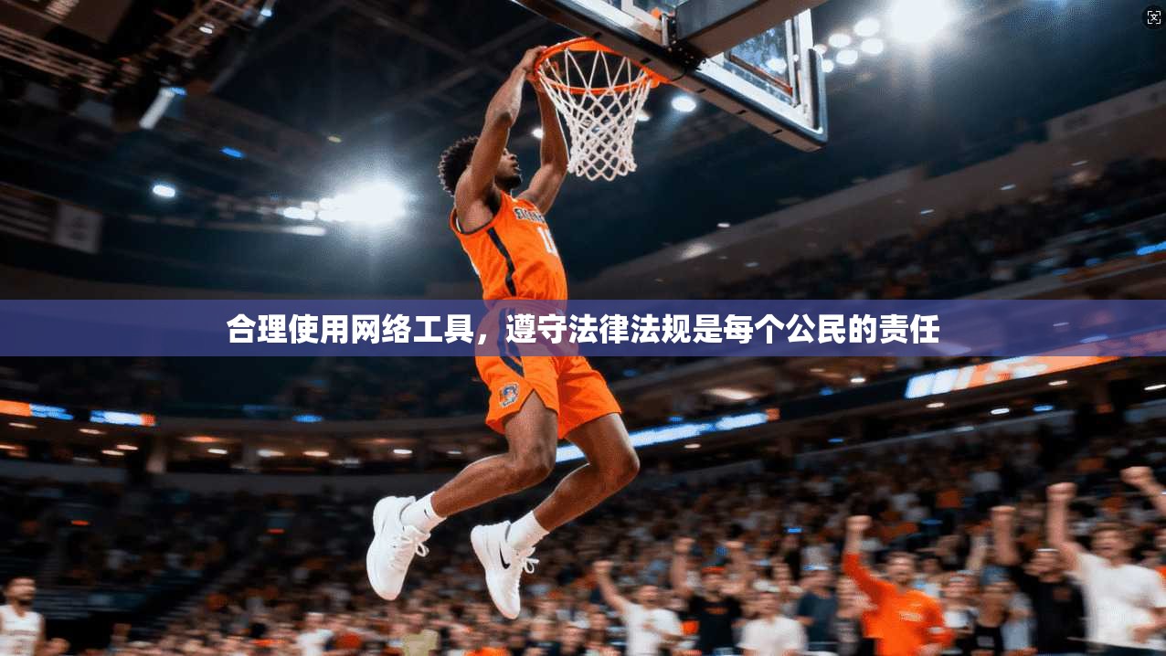 合理使用网络工具，遵守法律法规是每个公民的责任