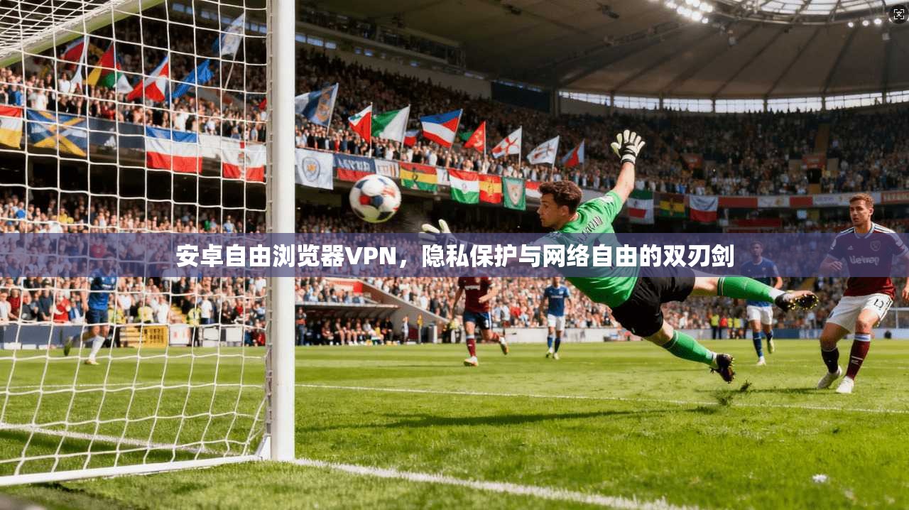 安卓自由浏览器VPN，隐私保护与网络自由的双刃剑