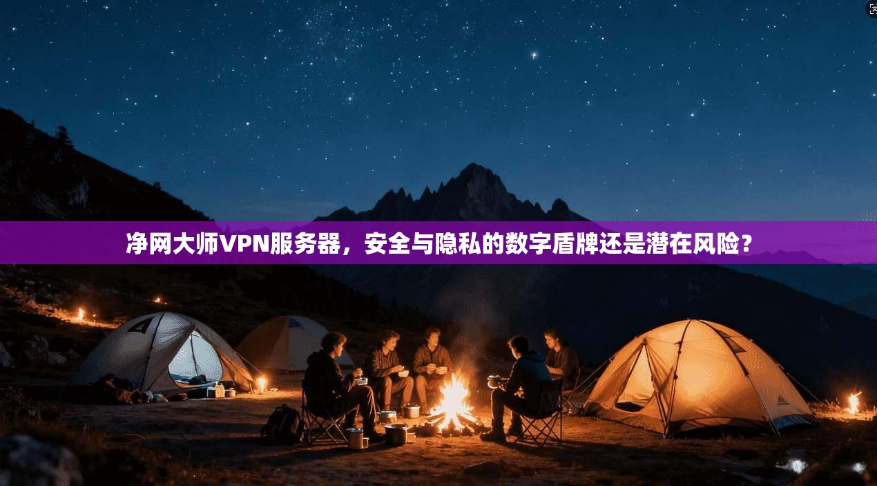净网大师VPN服务器，安全与隐私的数字盾牌还是潜在风险？