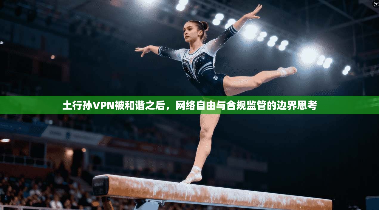 土行孙VPN被和谐之后,网络自由与合规监管的边界思考