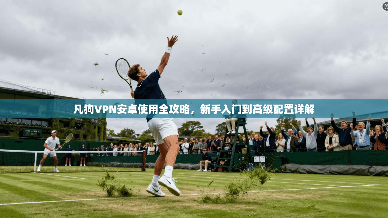 凡狗VPN安卓使用全攻略，新手入门到高级配置详解