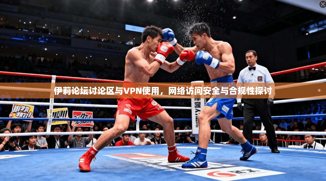 伊莉论坛讨论区与VPN使用,网络访问安全与合规性探讨