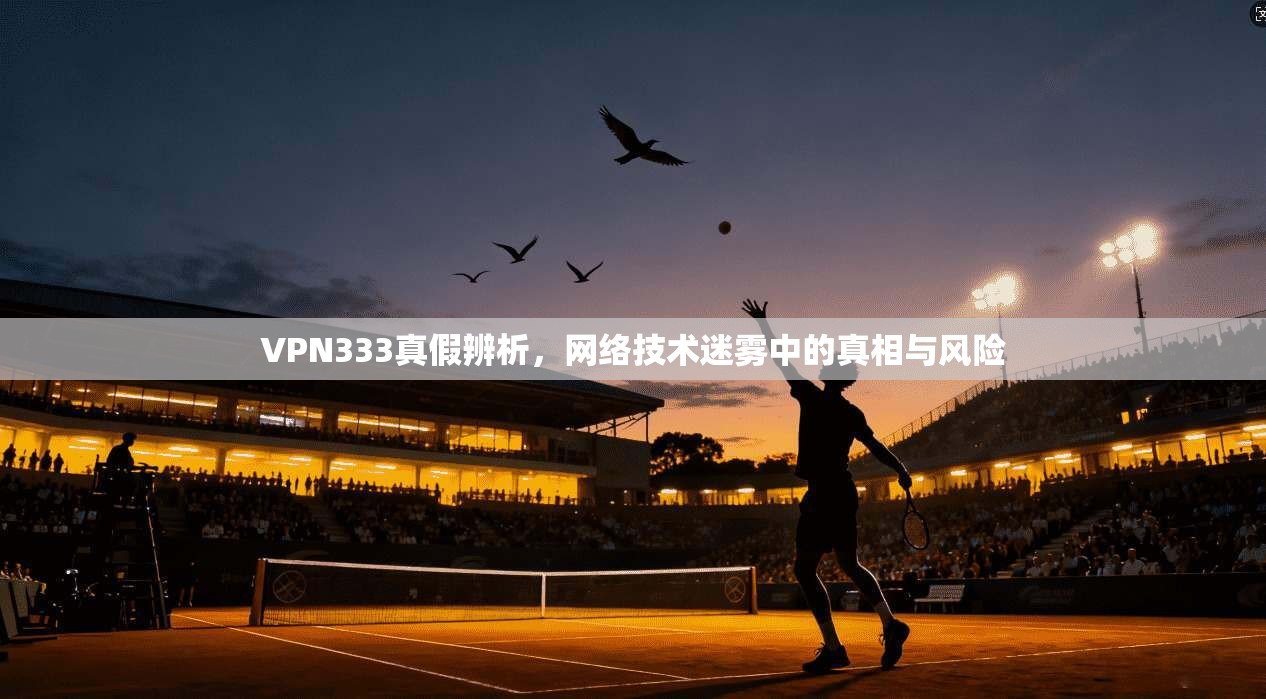 VPN333真假辨析，网络技术迷雾中的真相与风险