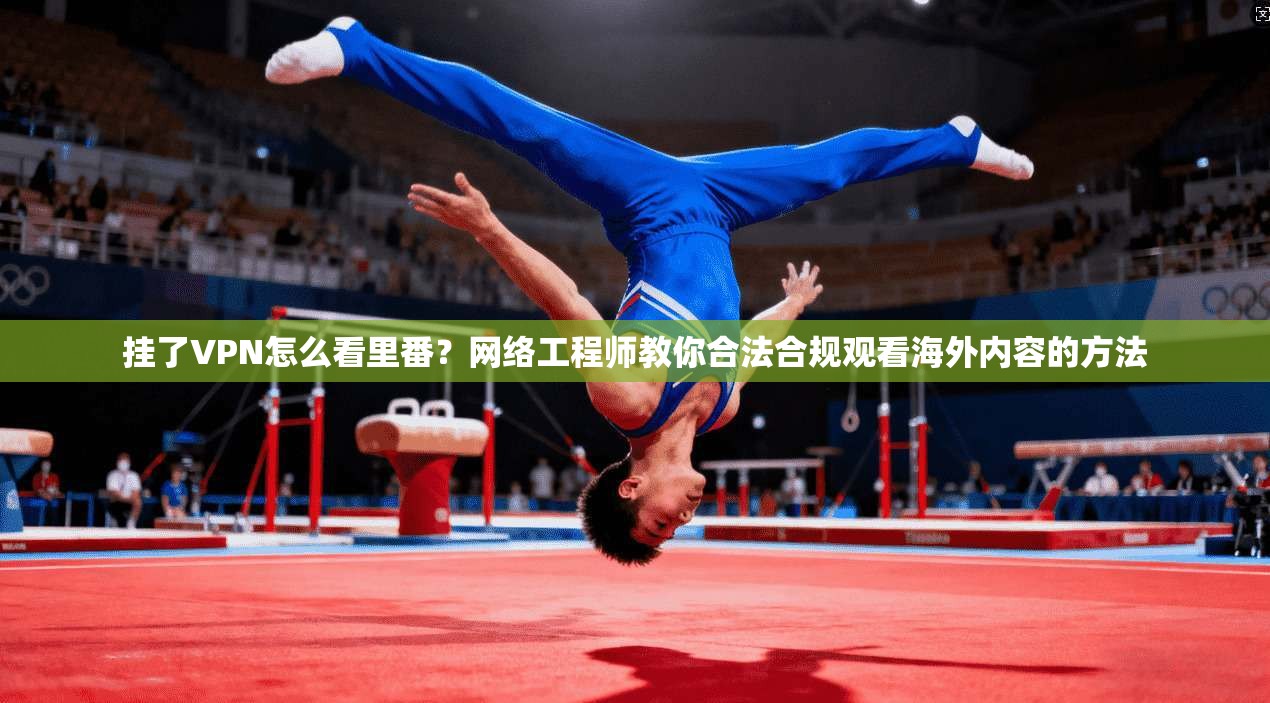 挂了VPN怎么看里番？网络工程师教你合法合规观看海外内容的方法