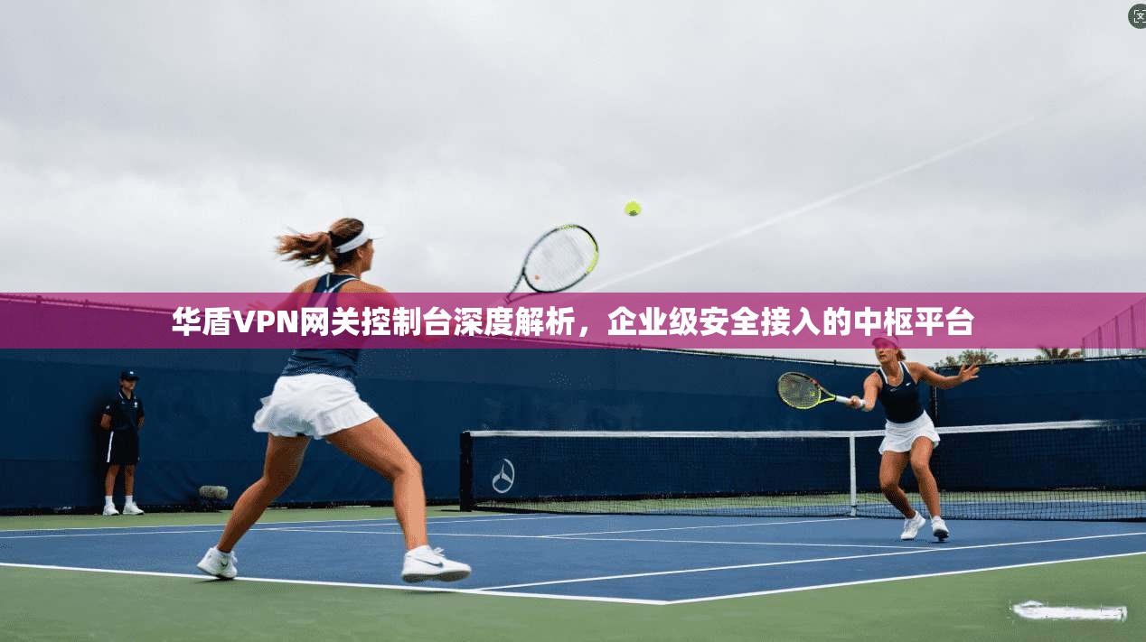 华盾VPN网关控制台深度解析,企业级安全接入的中枢平台