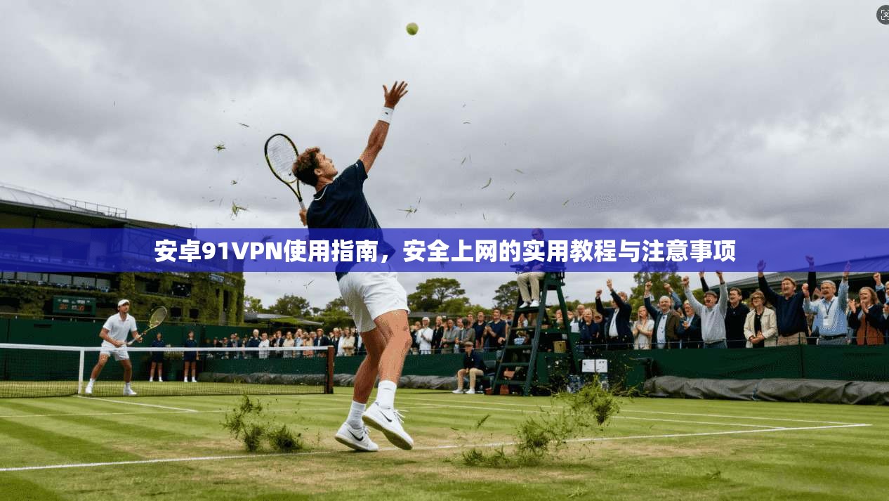 安卓91VPN使用指南，安全上网的实用教程与注意事项