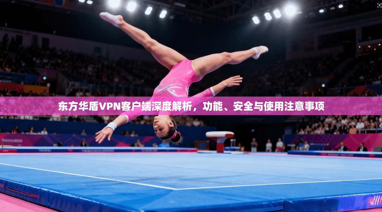 东方华盾VPN客户端深度解析,功能、安全与使用注意事项