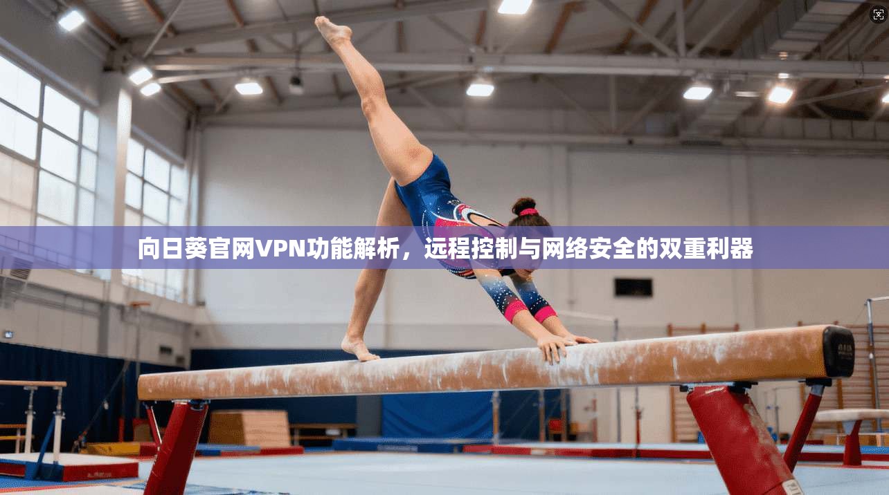 向日葵官网VPN功能解析，远程控制与网络安全的双重利器