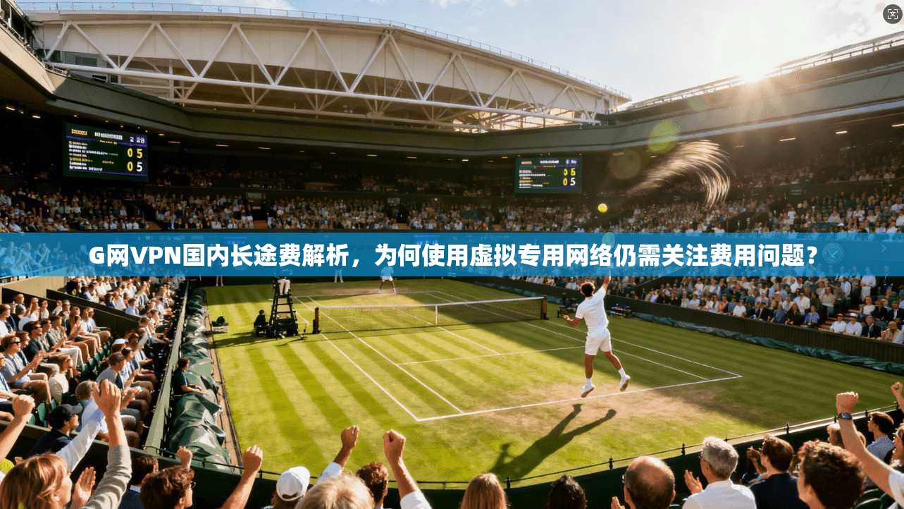 G网VPN国内长途费解析，为何使用虚拟专用网络仍需关注费用问题？