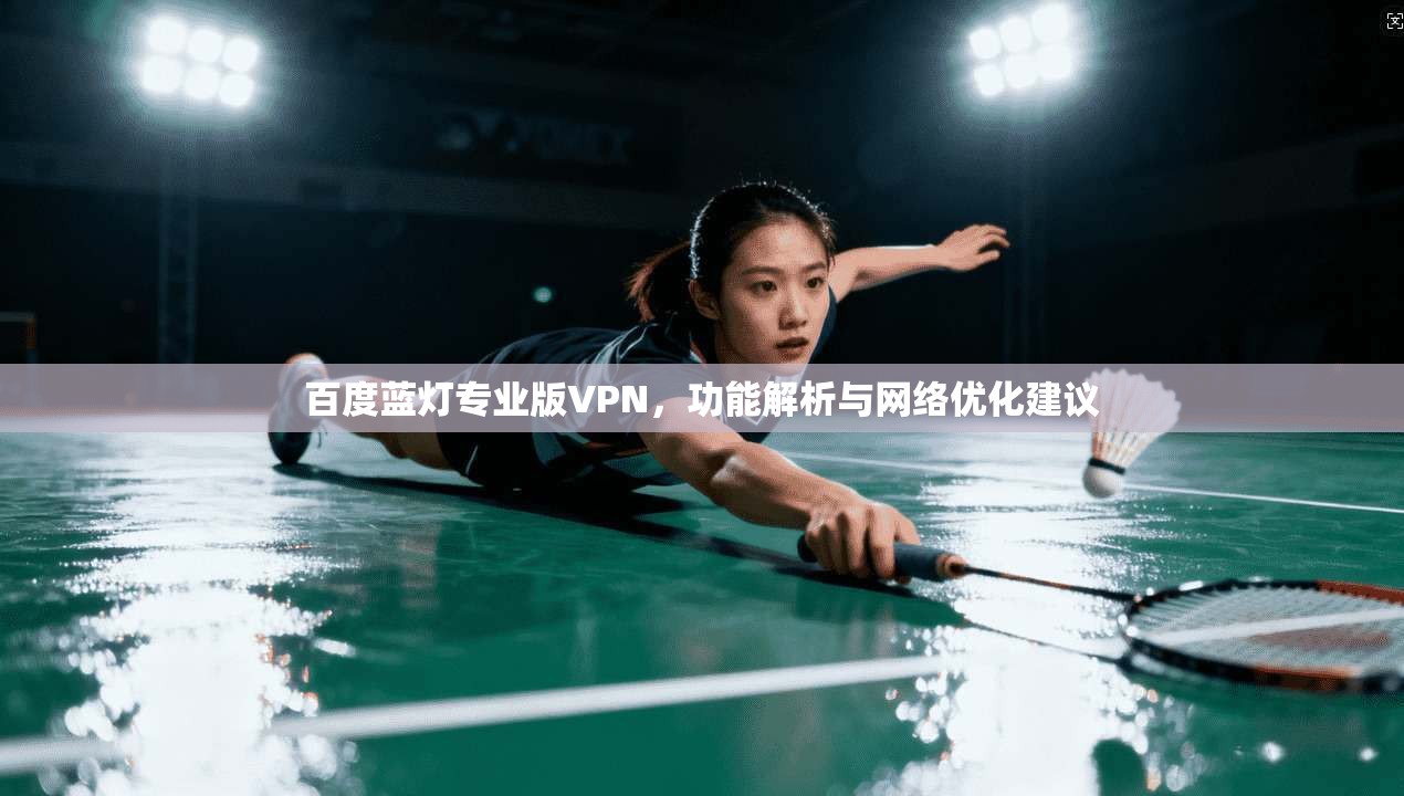 百度蓝灯专业版VPN,功能解析与网络优化建议