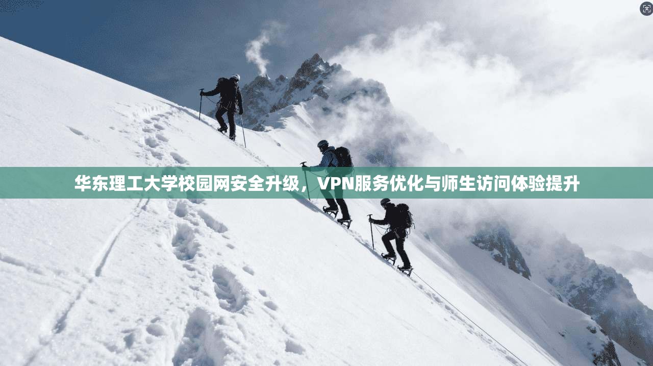 华东理工大学校园网安全升级，VPN服务优化与师生访问体验提升