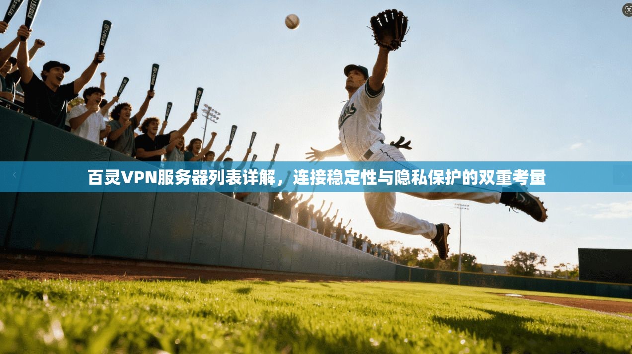 百灵VPN服务器列表详解，连接稳定性与隐私保护的双重考量
