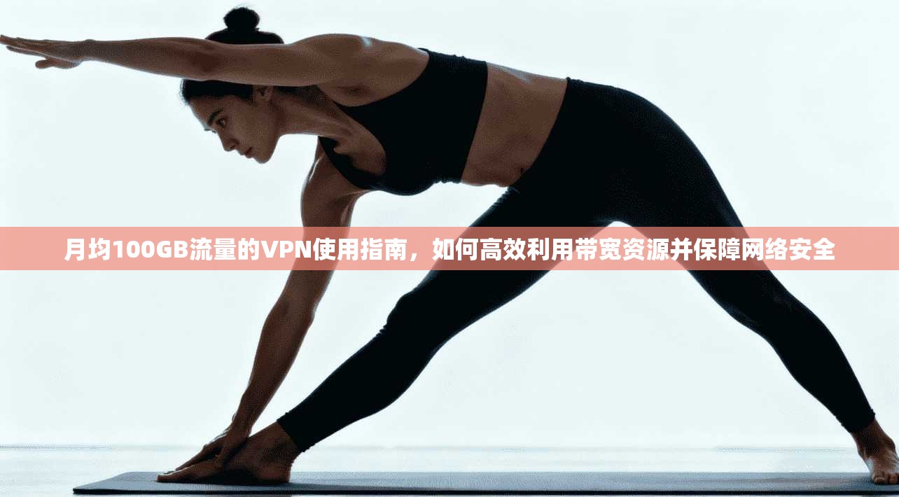 月均100GB流量的VPN使用指南,如何高效利用带宽资源并保障网络安全
