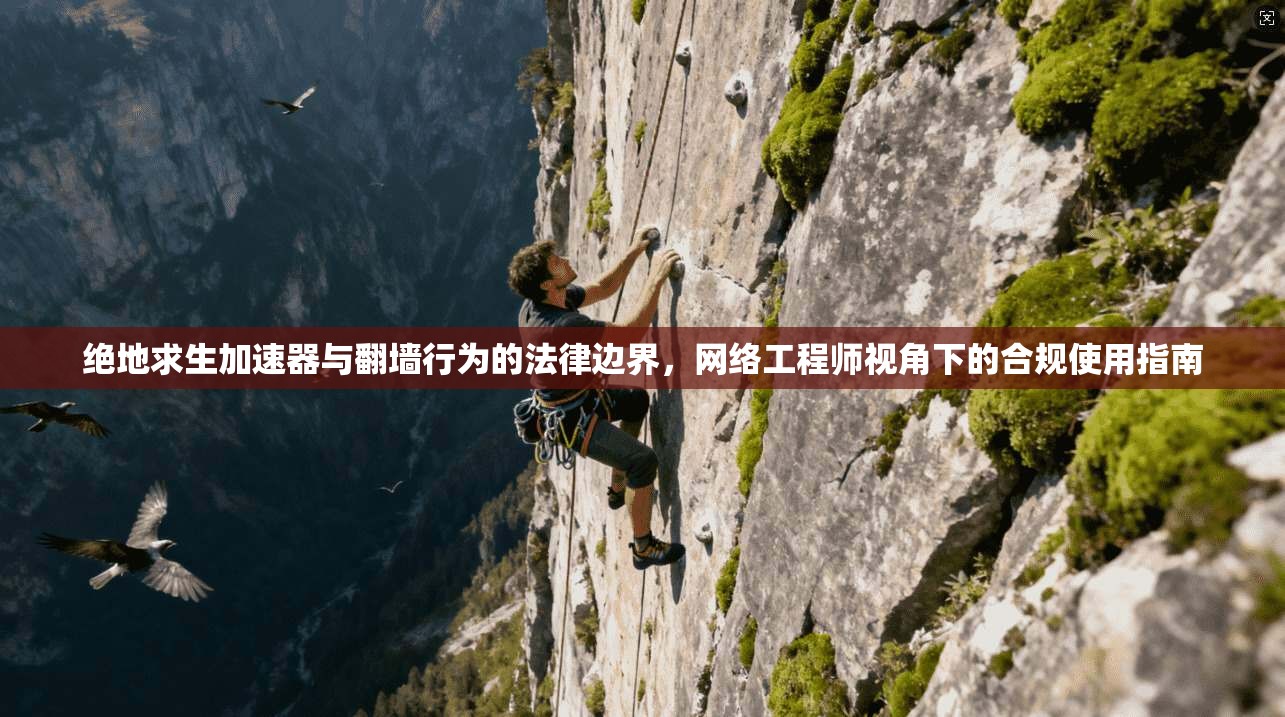 绝地求生加速器与翻墙行为的法律边界,网络工程师视角下的合规使用指南