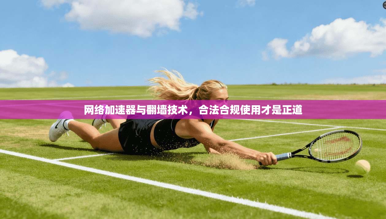 网络加速器与翻墙技术，合法合规使用才是正道
