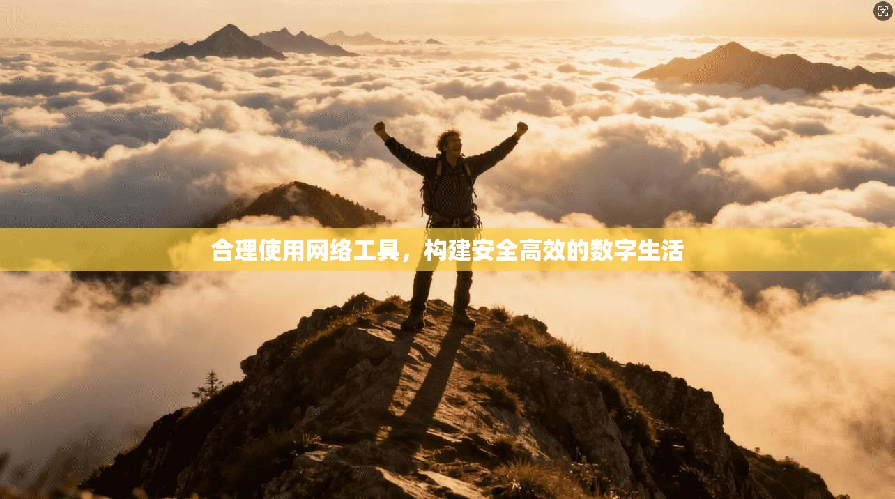 合理使用网络工具，构建安全高效的数字生活