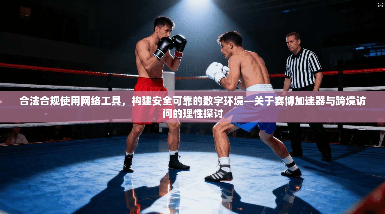 合法合规使用网络工具，构建安全可靠的数字环境—关于赛博加速器与跨境访问的理性探讨