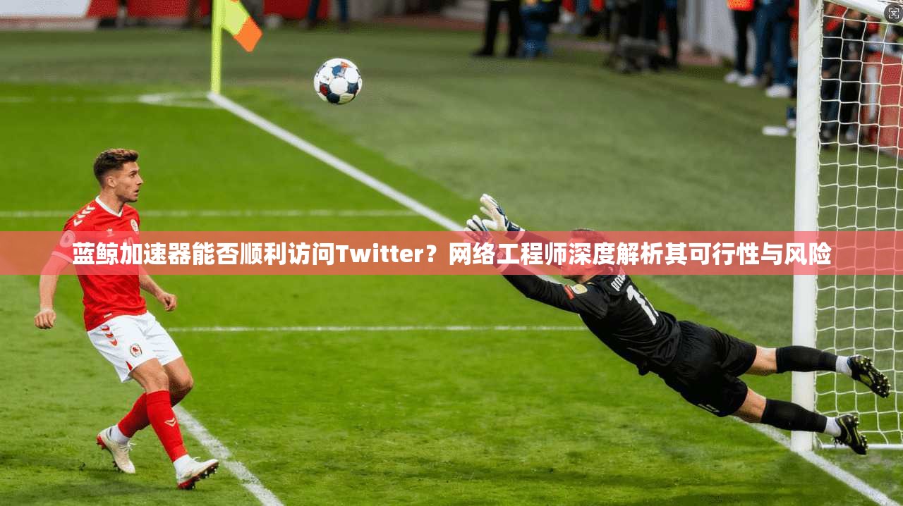 蓝鲸加速器能否顺利访问Twitter?网络工程师深度解析其可行性与风险