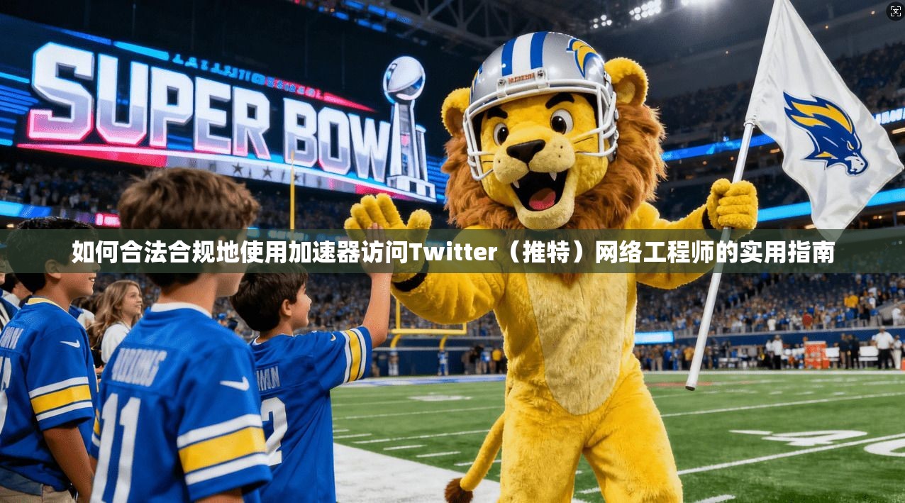 如何合法合规地使用加速器访问Twitter（推特）网络工程师的实用指南