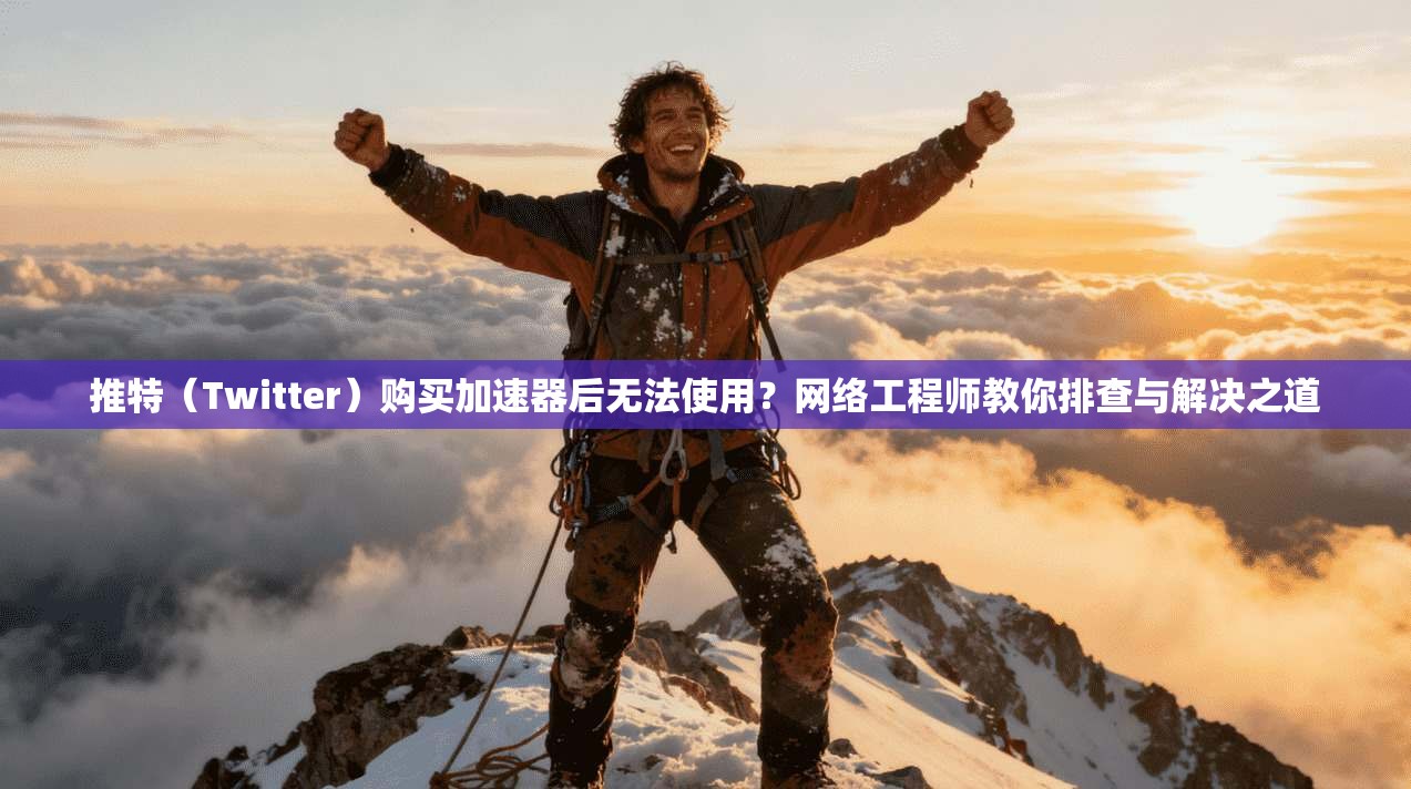 推特（Twitter）购买加速器后无法使用？网络工程师教你排查与解决之道