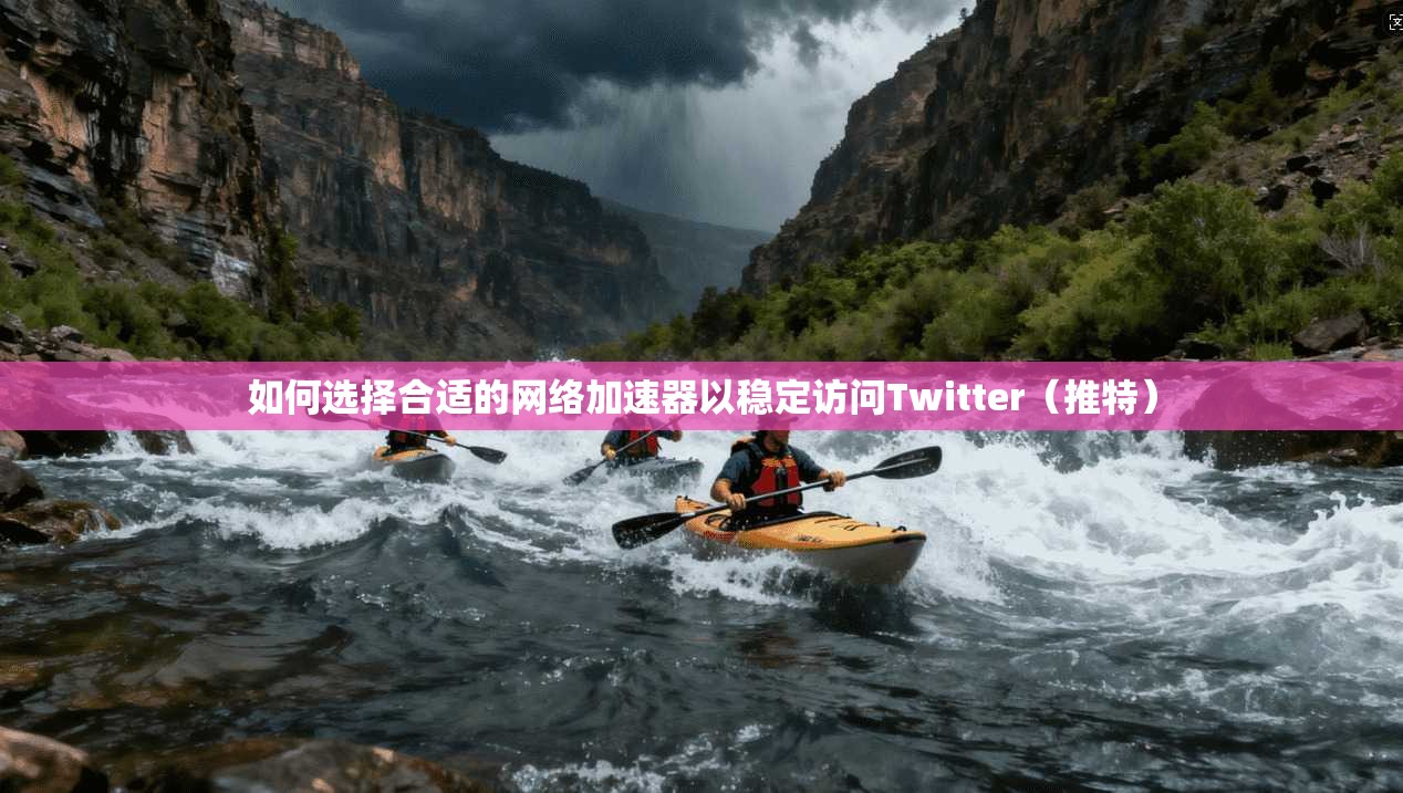 如何选择合适的网络加速器以稳定访问Twitter(推特)