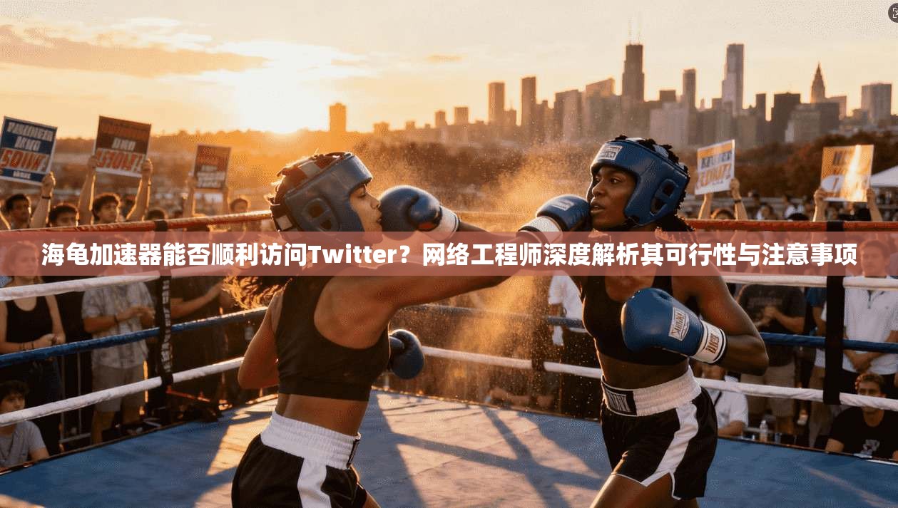 海龟加速器能否顺利访问Twitter?网络工程师深度解析其可行性与注意事项