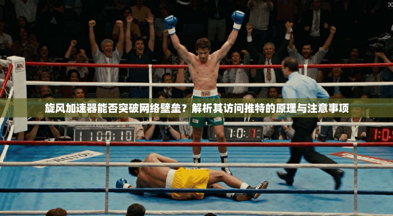 旋风加速器能否突破网络壁垒?解析其访问推特的原理与注意事项
