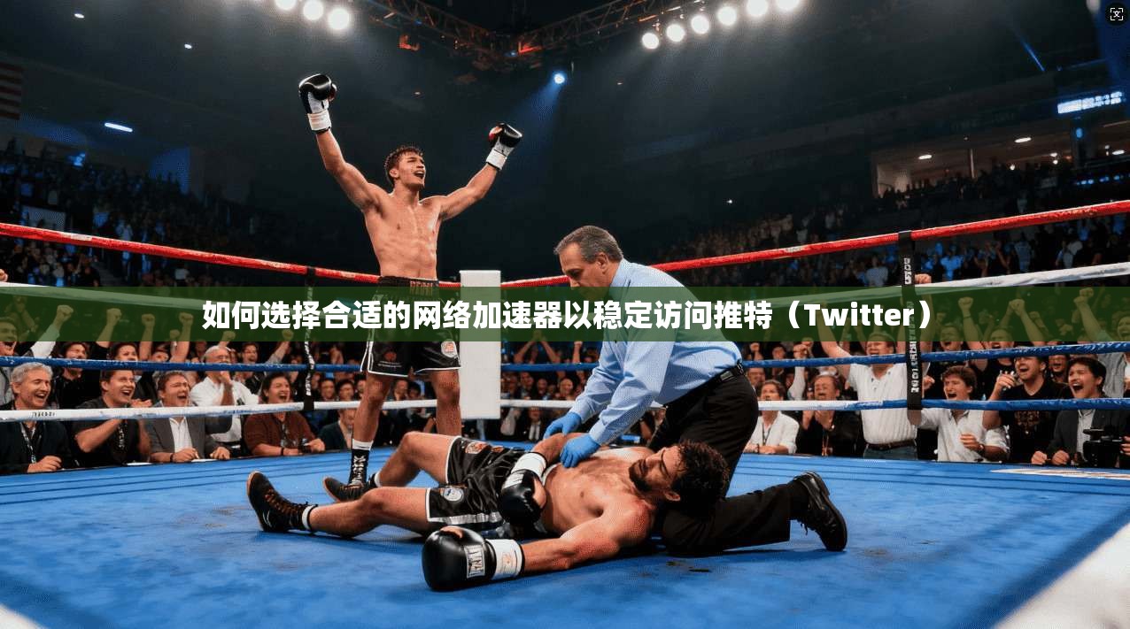 如何选择合适的网络加速器以稳定访问推特(Twitter)