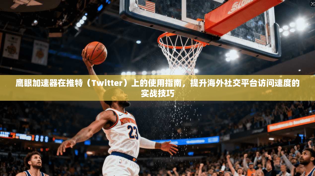 鹰眼加速器在推特（Twitter）上的使用指南，提升海外社交平台访问速度的实战技巧