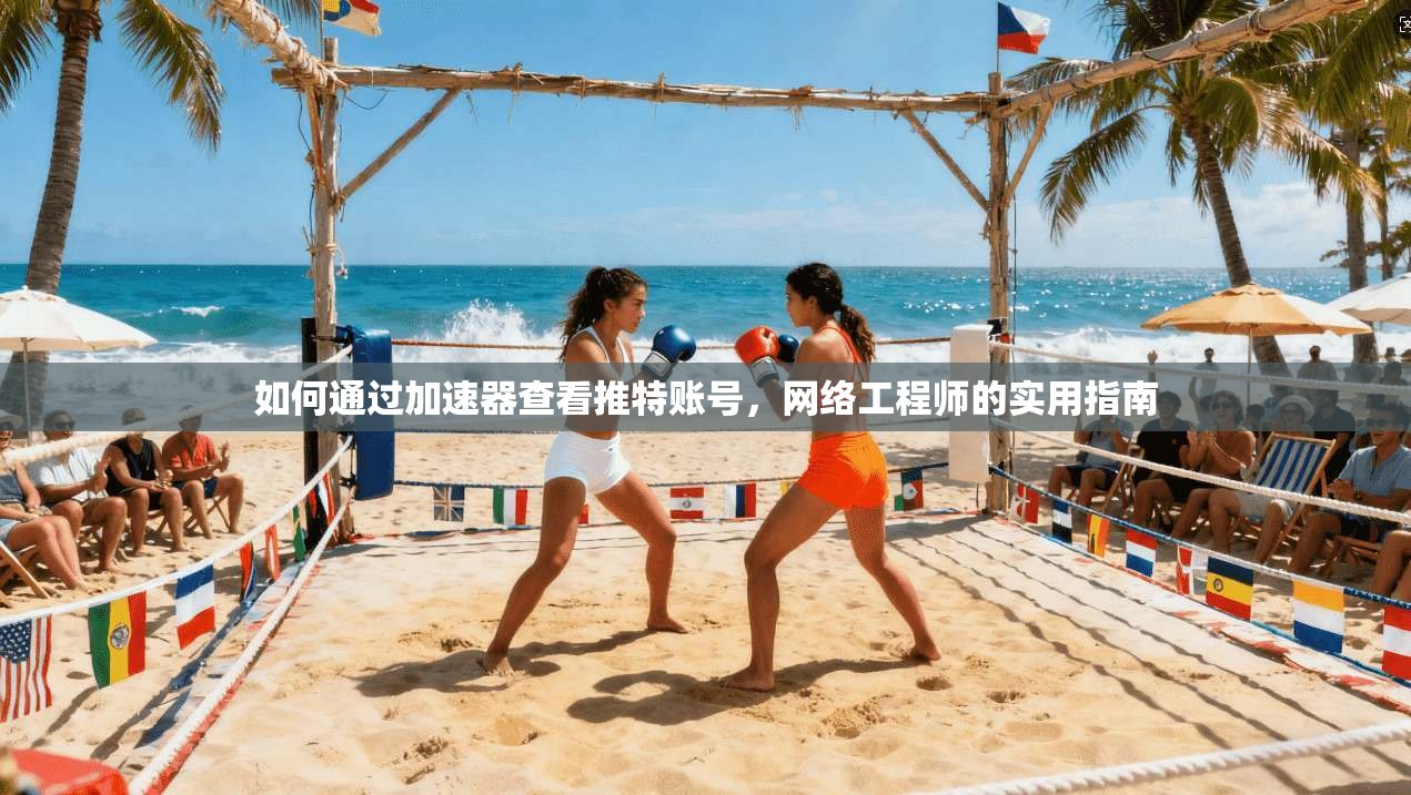 如何通过加速器查看推特账号，网络工程师的实用指南