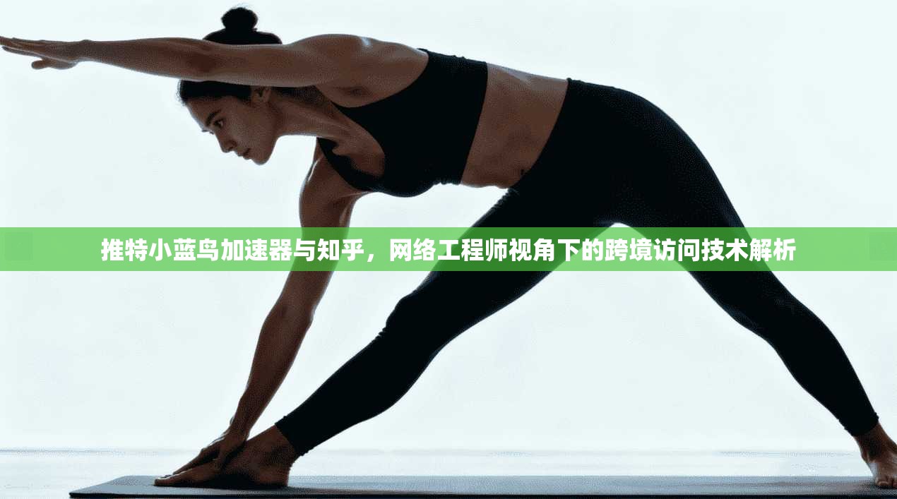 推特小蓝鸟加速器与知乎,网络工程师视角下的跨境访问技术解析